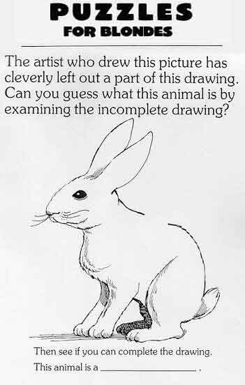 bunny